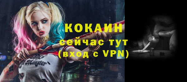 таблы Осинники