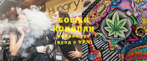 таблы Осинники