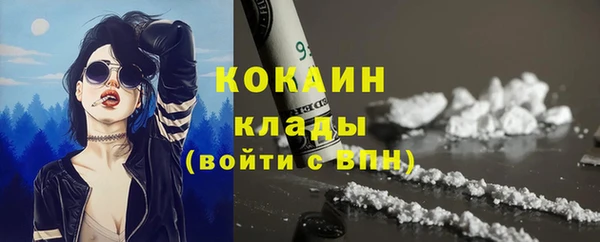 таблы Осинники