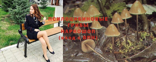 прущая мука Няндома