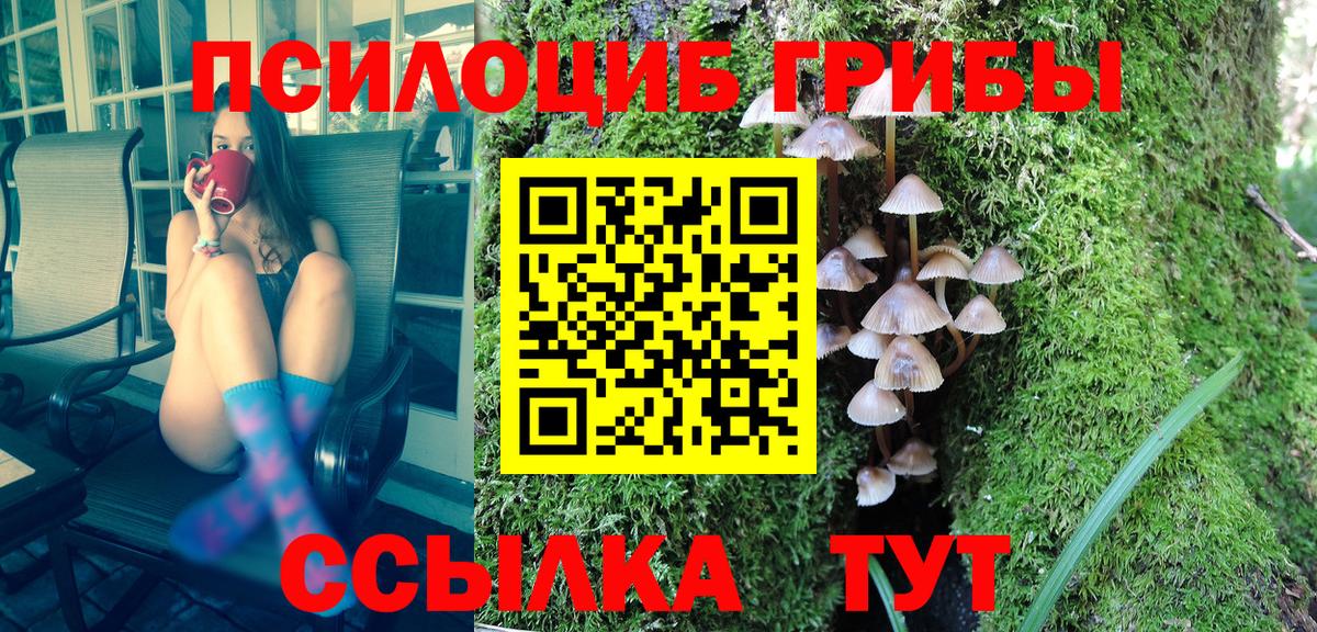 Псилоцибиновые грибы Magic Shrooms Братск