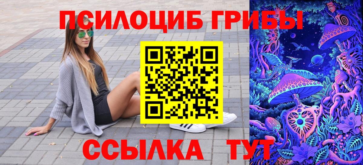 Братск  Псилоцибиновые грибы мицелий  Вход с VPN 